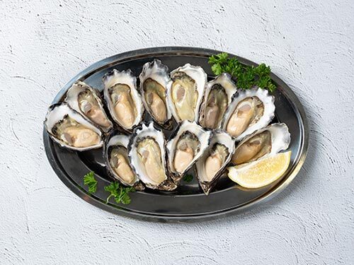 Oysters