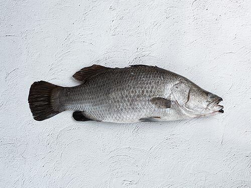 Whole Fish